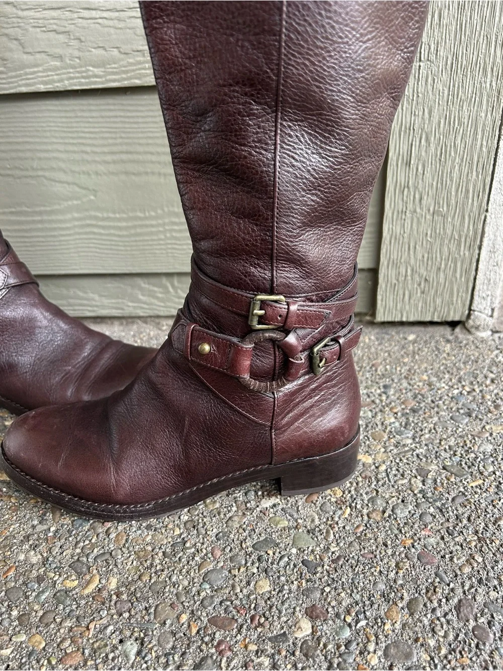 Via Spiga Tall Leather Riding Boots - Dark Brown